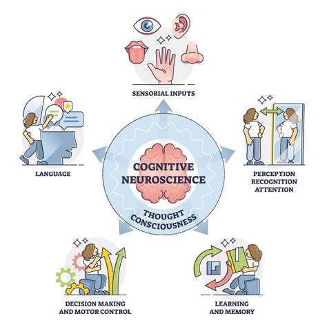 Cognitive Neuroscience: