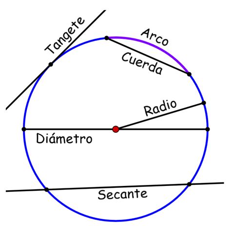 Coherencia con Circunferencia: