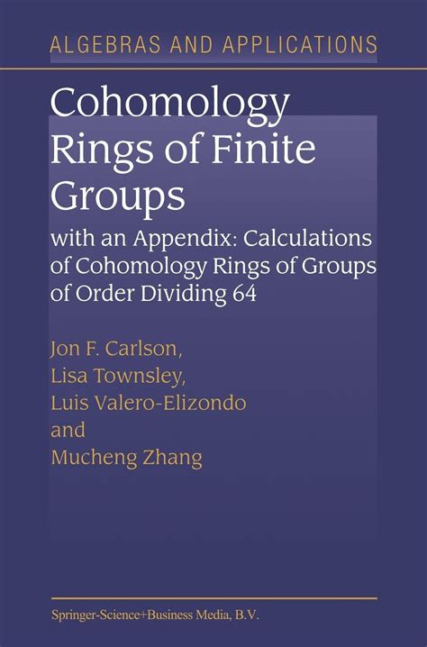 Cohomology of Finite Groups Epub