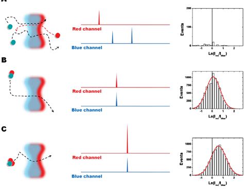 Coincidence Detection PDF