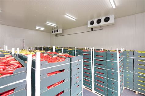 Cold Storage