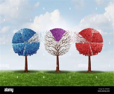 Collaboration and Cross-Pollination: