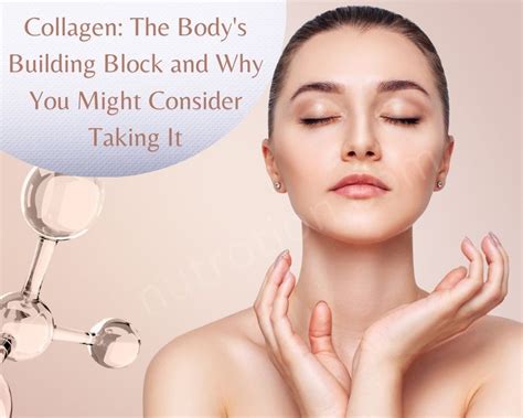 Collagen: The Body's Essential Building Block