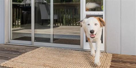 Collar Activated Dog Door for Sliding Glass Door: Your Pet's Dream Come True