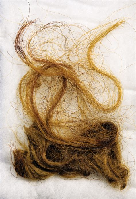 Collecting Hair: