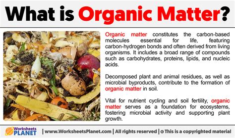 Collection of organic matter: