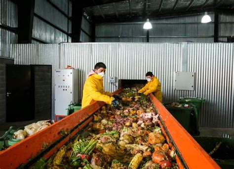 Collection of organic waste: