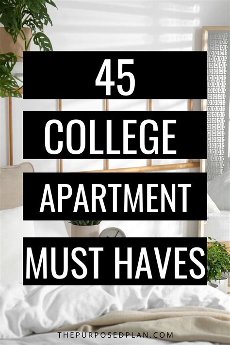 College Apartment Must Haves: A Comprehensive Guide for a Comfortable and Stylish Transition