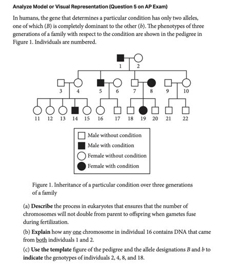 College Board Ap Biology Practice Test Answers Doc