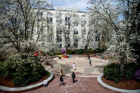 College Confidential: Northeastern University - An In-Depth Look