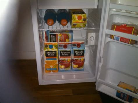 College Mini Fridge Essentials: The Ultimate Guide for Dorm Living