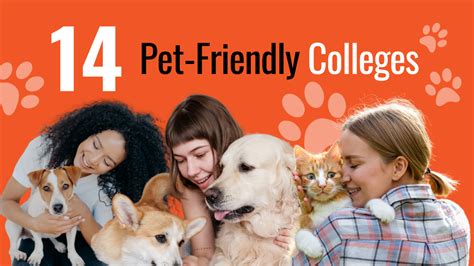 Colleges That Allow Pets in Dorms: Your Guide to Living the Pet-Friendly Campus Life