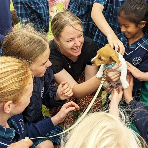 Colleges That Welcome Canines: A Comprehensive Guide for Students and Their Furry Friends