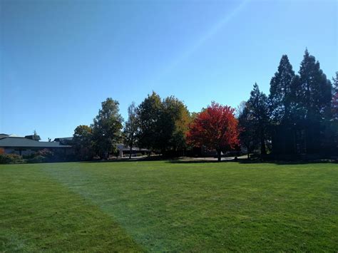 Colleges in Bremerton, WA: A Lifelong Investment in Your Future