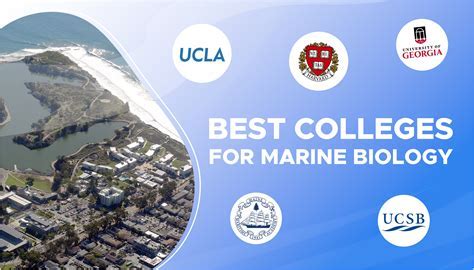 Colleges with the Best Marine Biology Programs