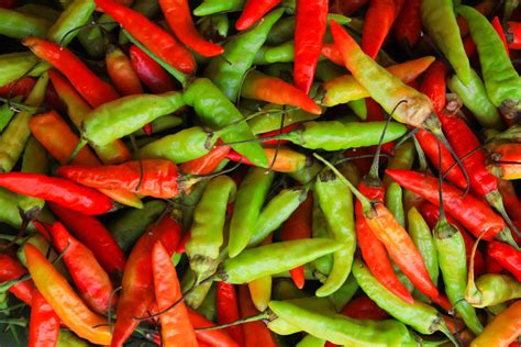 Colombia: La Tierra del Chili Picante