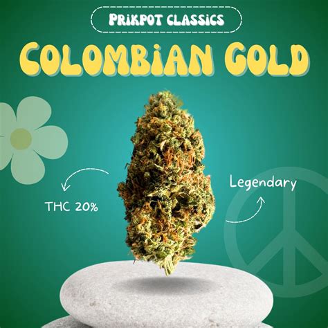 Colombian Gold: A Cultural and Economic Treasure