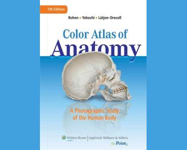 Color Atlas of Anatomy A Photographic Study of the Human Body Canadian Edition Epub