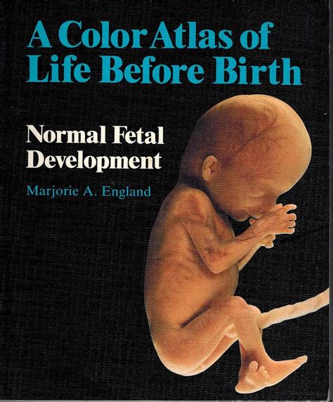 Color Atlas of Life Before Birth Normal Fetal Development PDF