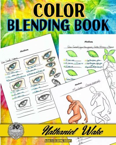 Color Blending Book 50 Wonderful Color Blending Book Practice Coloring Pages PDF