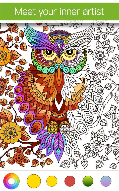 Color Crush An Adult Coloring Book for the Modern Girl Epub