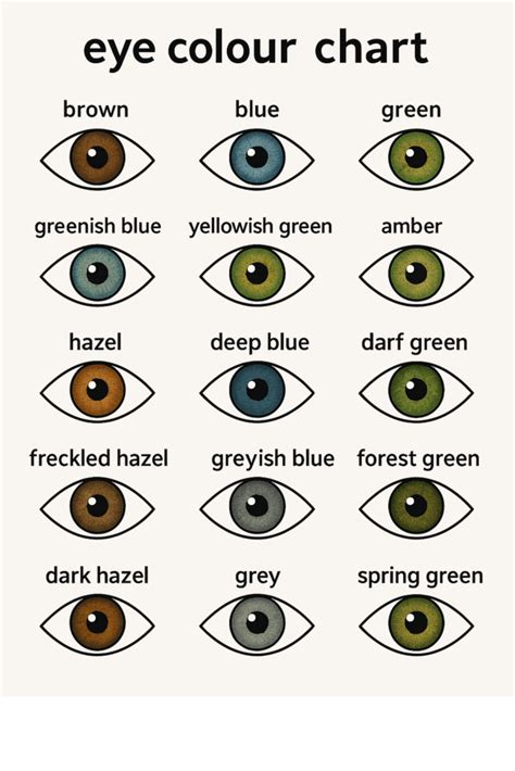 Color Of Eyes Chart