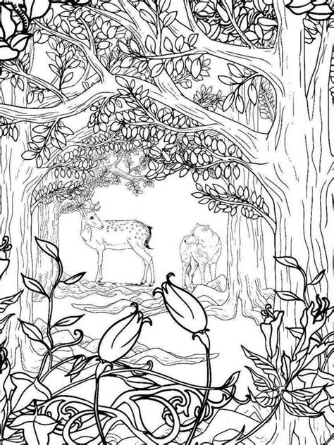 Color and Frame Adult Coloring Book In the Forest Reader