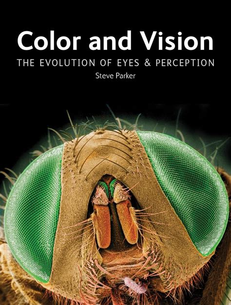 Color and Vision The Evolution of Eyes and Perception PDF