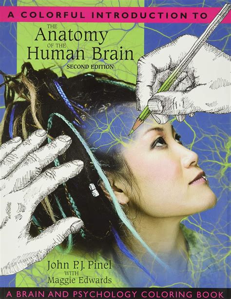 Colorful Introduction Anatomy Human Brain PDF