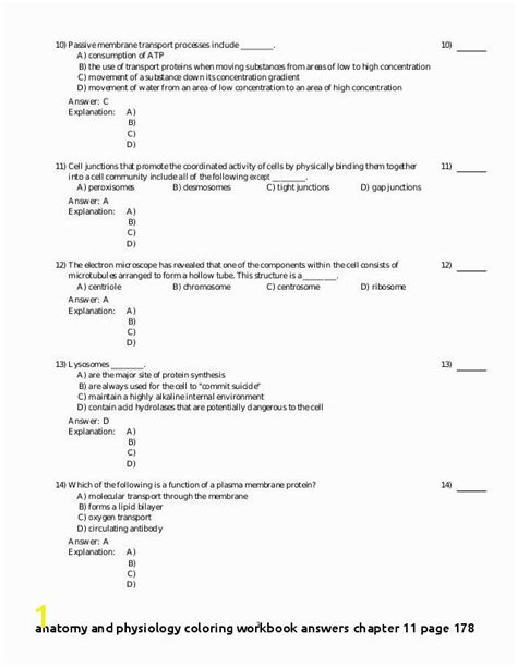 Coloring Workbook Answers Chapter 11 Epub