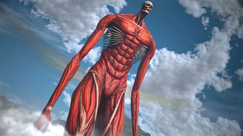 Colossal Titan Full Body: An in-depth Exploration of the Largest Titan