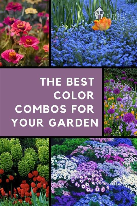 Colour Schemes for the Flower Garden PDF