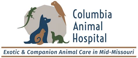 Columbia Animal Hospital Annandale: Your Trusted Partner for Pet Health