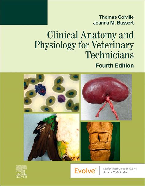 Colville Clinical Anatomy Workbook Answers Doc