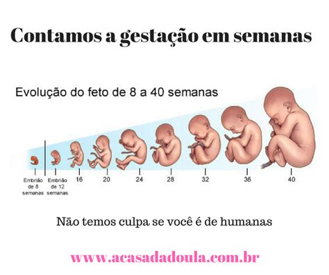 Com Quantas Semanas o Bebê Pode Nascer? Entenda o Tempo de Gestação