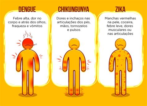 Combata a Tríade Assassina: Sintomas e Perigos da Dengue, Chikungunya e Zika