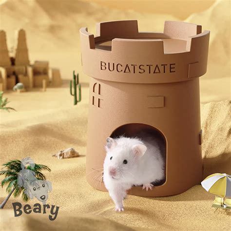 Come Castle with Us: 10,000 Facts about Your Castle Hamster