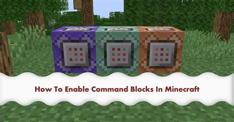 Command Blocks and the Minecraft Ecosystem