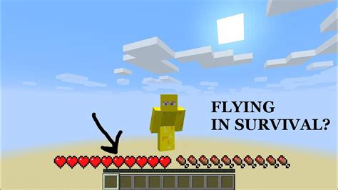 Command Line to Fly Minecraft 101: Unlock Limitless Aerial Adventures