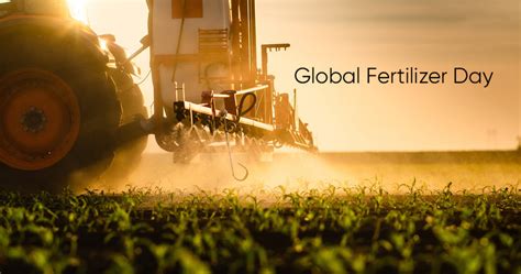 Commercial Fertilizer: A Bountiful Harvest for Global Agriculture