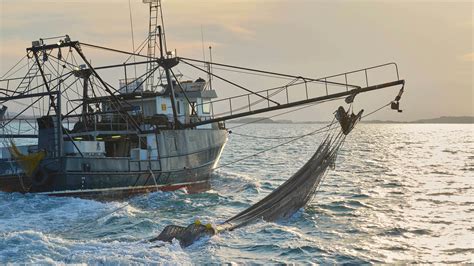 Commercial Fishing: