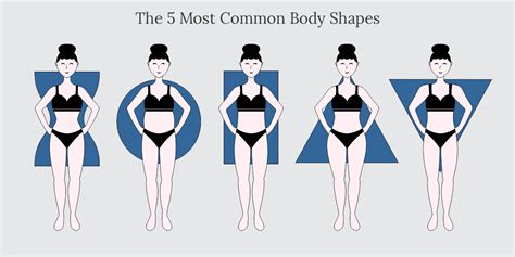 Common Body Shapes: