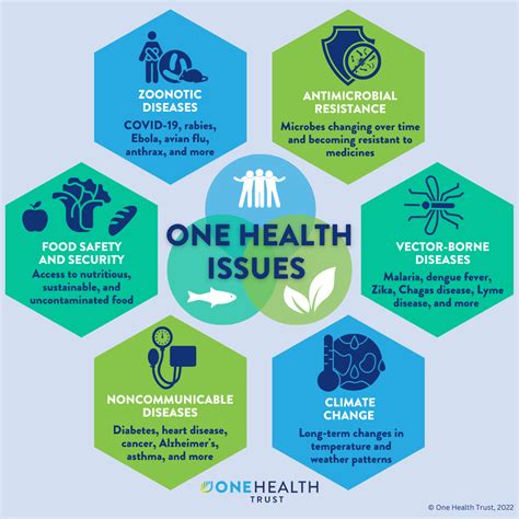 Common Health Concerns and Their Solutions