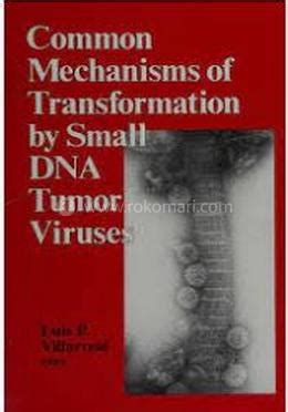 Common Mechanisms Of Transformation By Small DNA Tumor Viruses Reader