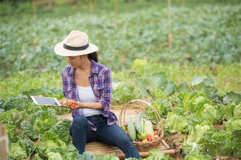 Common Mistakes to Avoid When Transitioning to Sustainable Farming