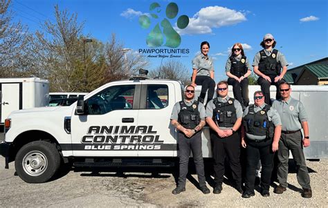 Common Pain Points of League City Animal Control