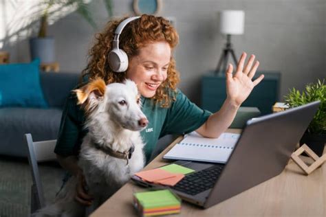 Communications and New Media: Revolutionizing Dog Training and Beyond