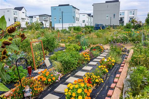 Community Garden Singapore: A Guide to Green Spaces for Growing Together