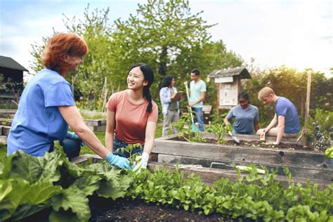 Community Gardens:
