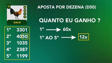 Como Apostar no Jogo do Bicho no Talismã Bet